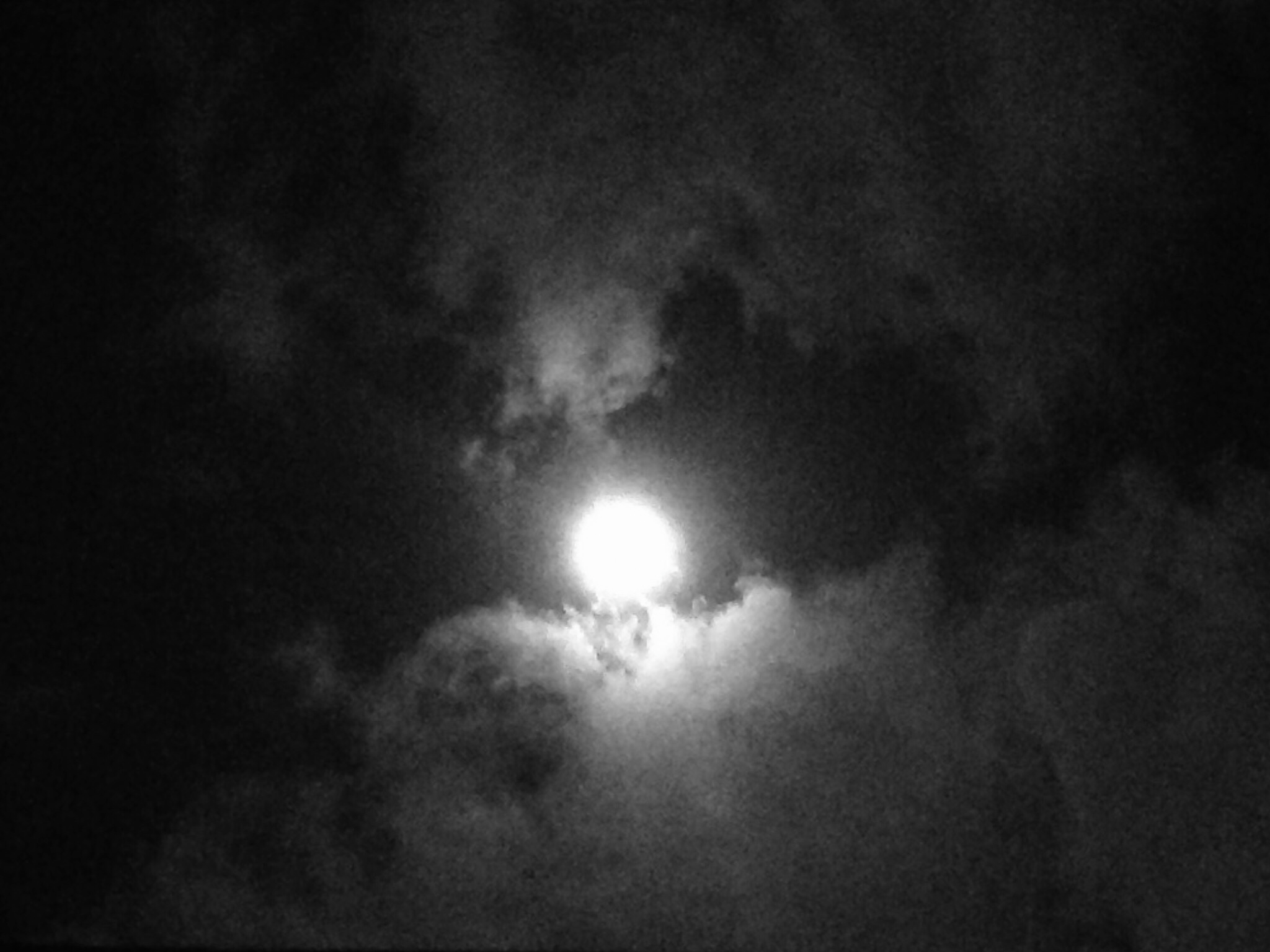 D00627D4-5AE1-4456-B584-A8222D8E62A2